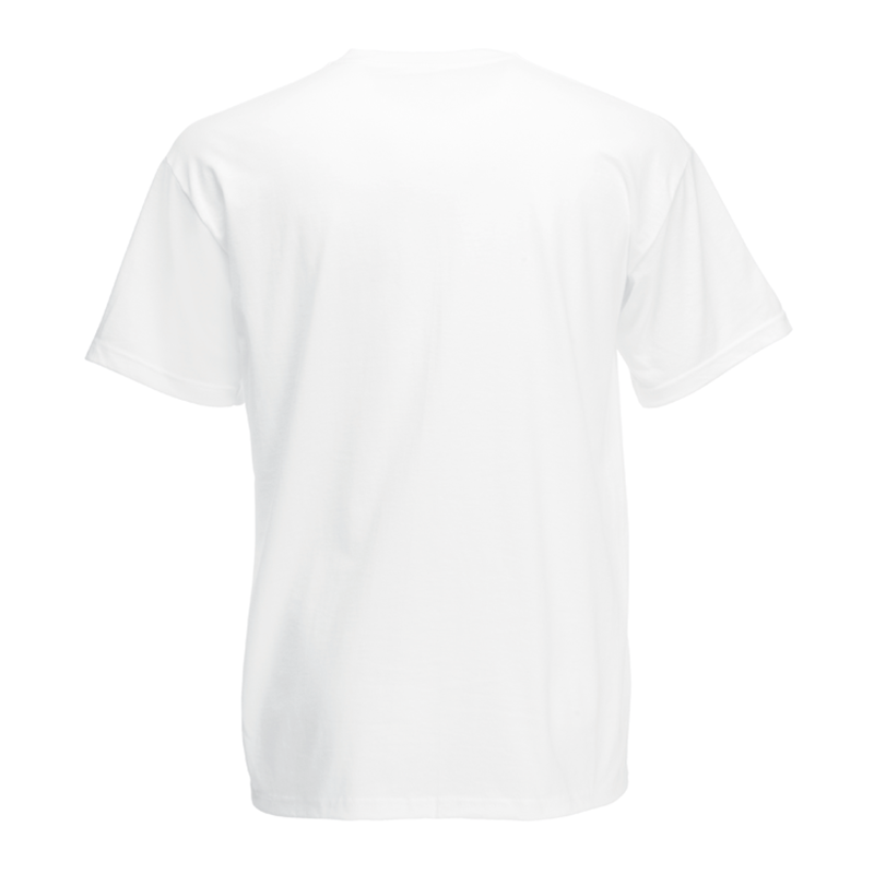 Valueweight V Neck Tee, Hvid