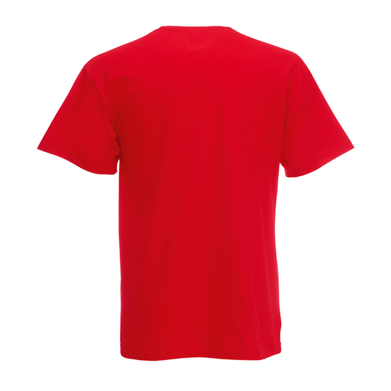 Valueweight V Neck Tee, Rød